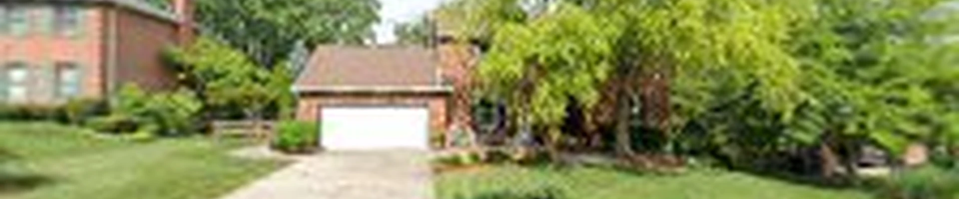 Bailey Tree Expert
