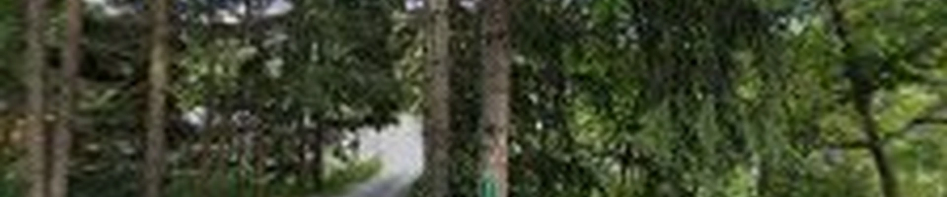 Keystone Tree Techs Inc