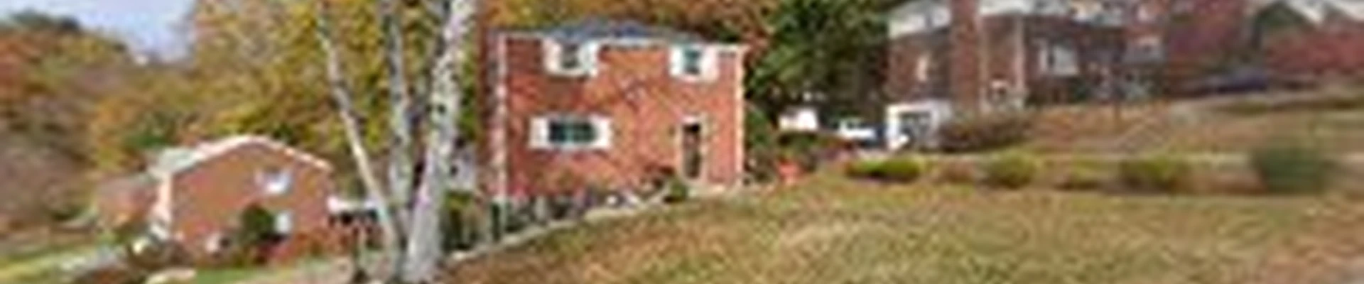 All Pitt Tree Care