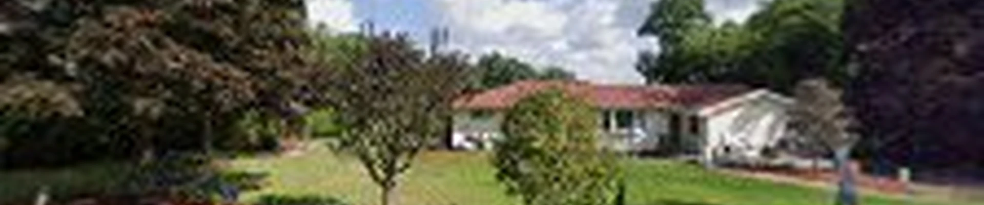 Fennell Tree Services