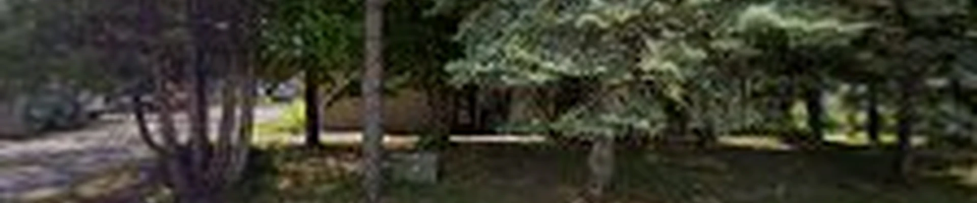 Pleasant View Tree Service
