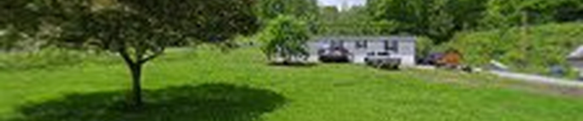 Buckeye Tree Servies & Landscaping, LLC.