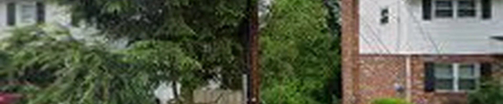 Miley's Tree Experts