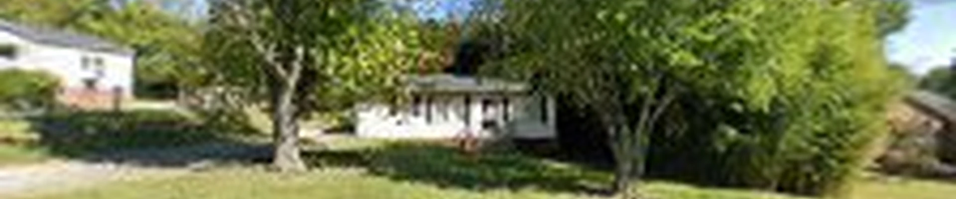 Cheap Jimm Tree Services