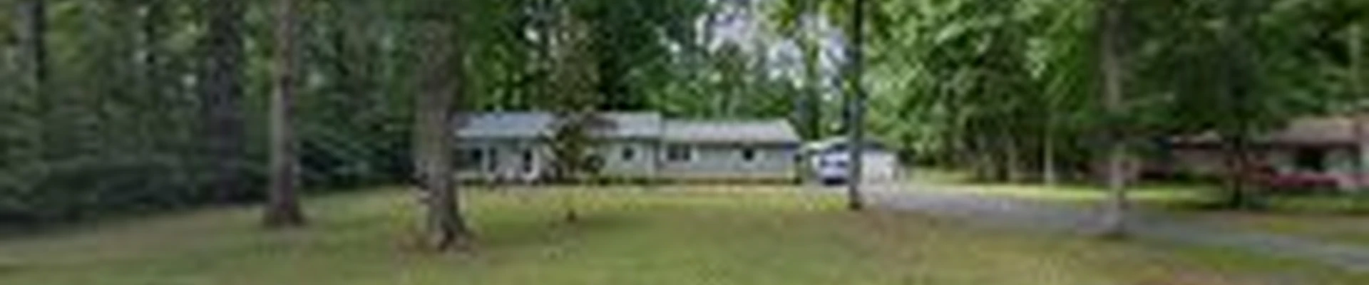 Green Oak Tree Experts