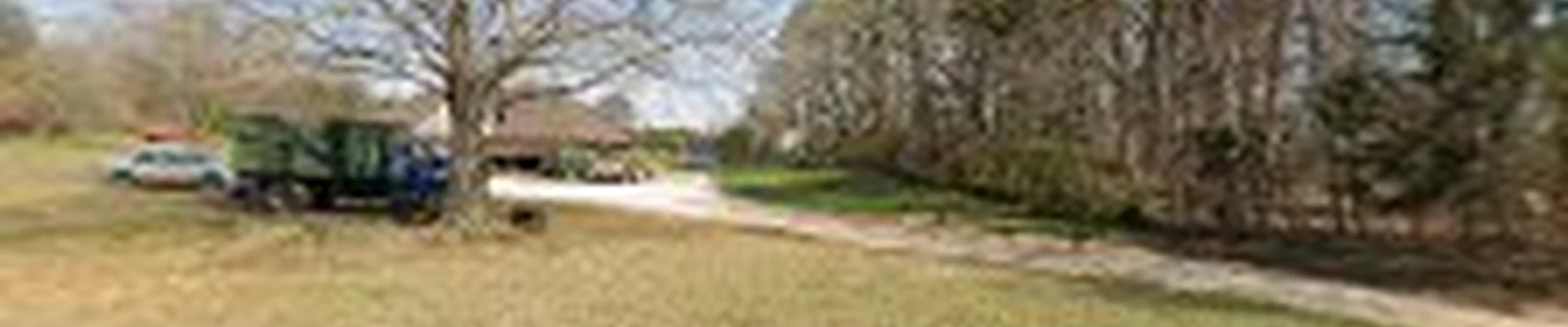 Canopy Tree Service