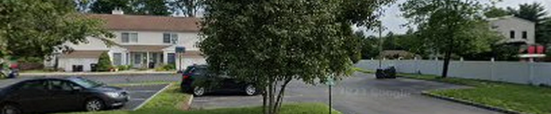 Randolph NJ Tree Service