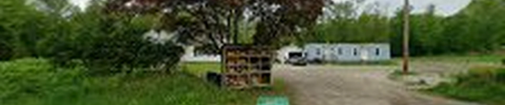 Nature Tree Service