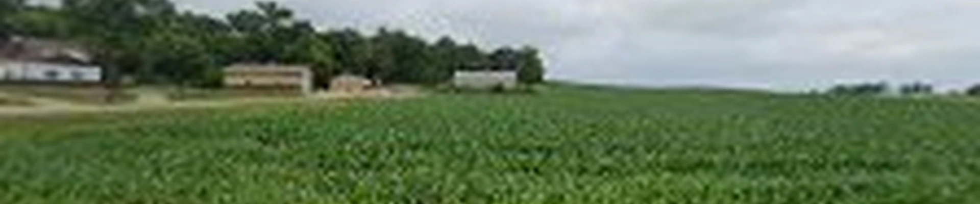 Prairie Pro Services