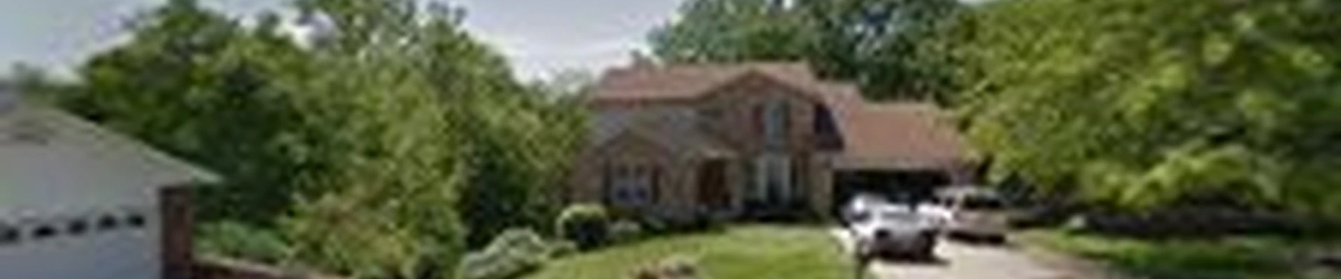 Hanneke Tree Service