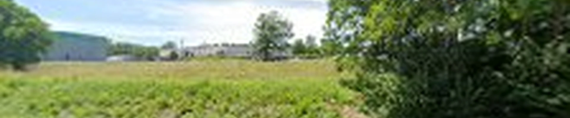 Timberline Professional Tree Care