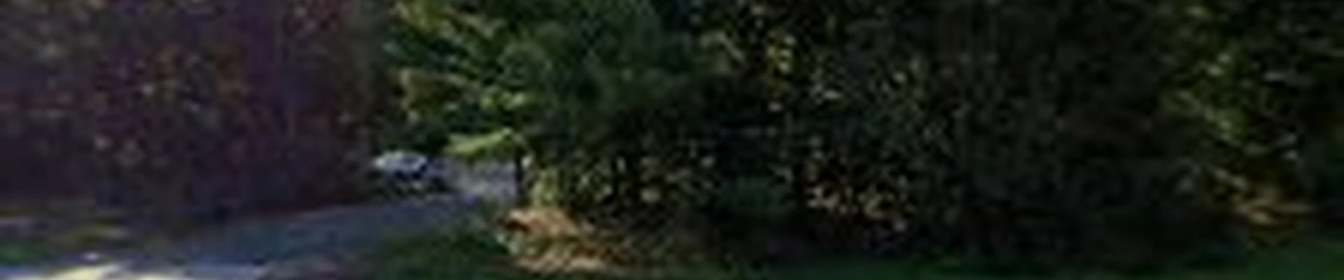 Bayer Tree Service, LLC