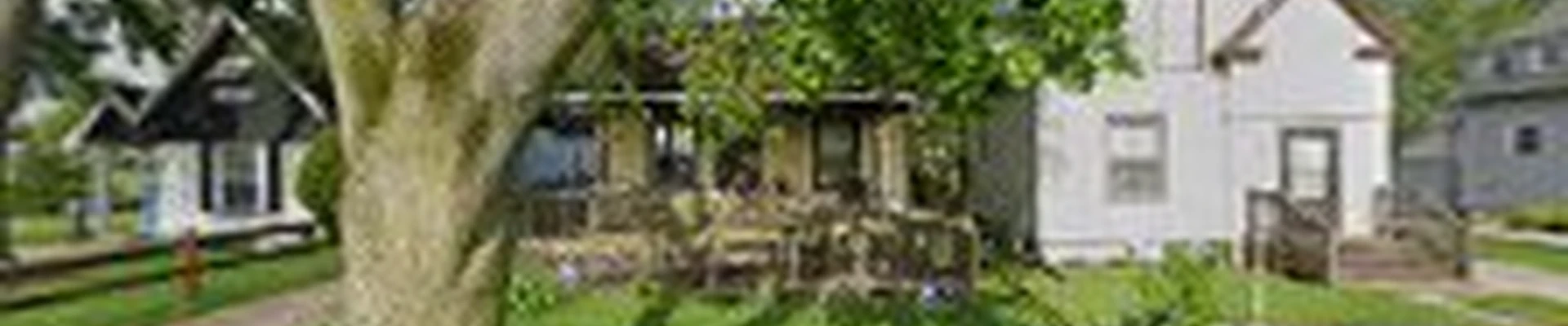 Climbing-Spur Tree Service