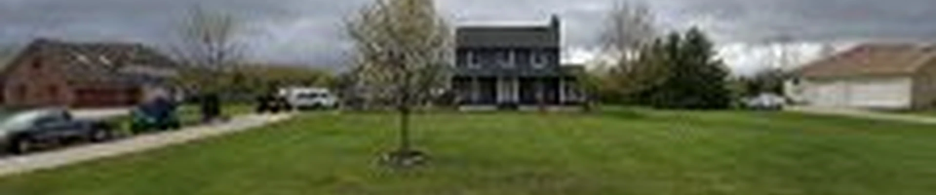 Arborist Tree Removal Services