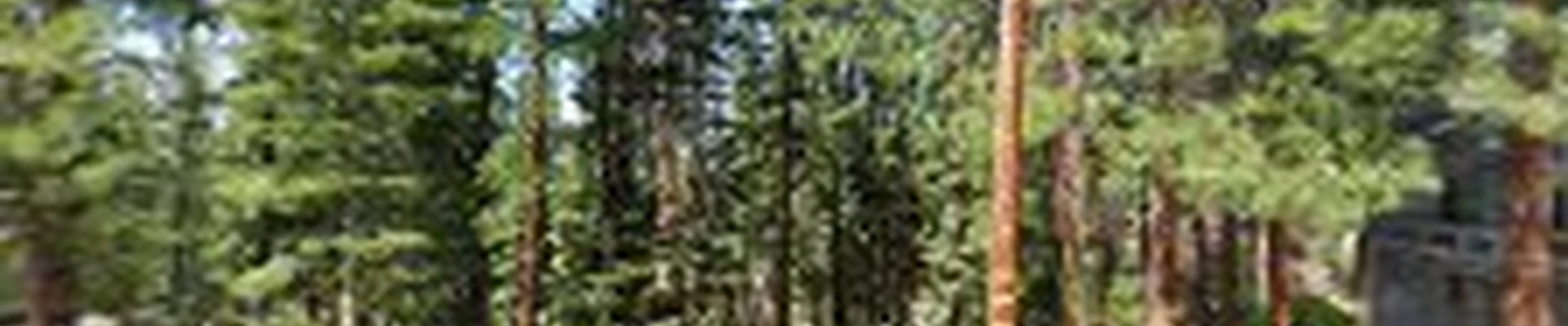 Elevated Tree Experts, LLC