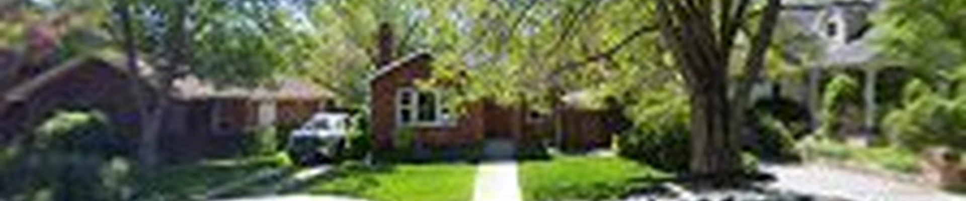Aspect Tree Care