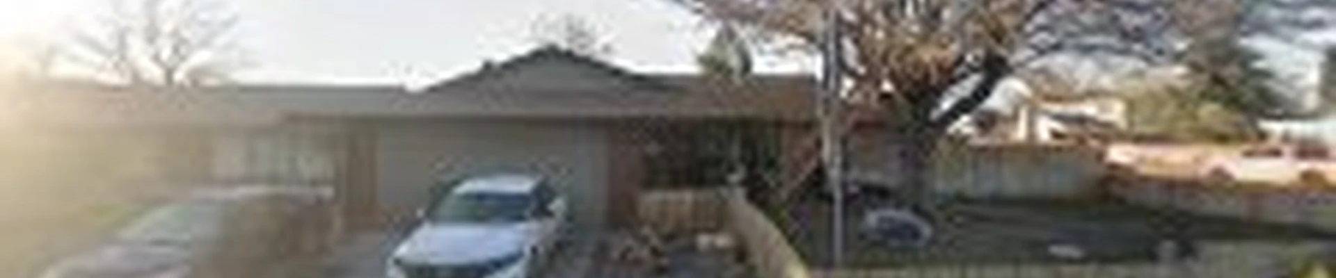 Northern Nevada Tree Experts