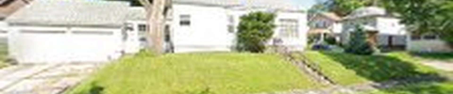 Tree service pro Fort Wayne