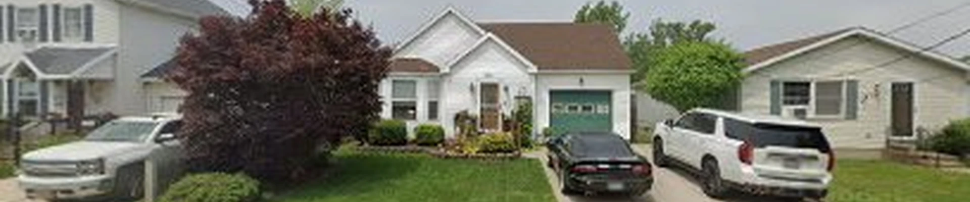 Eco Pro Tree Service