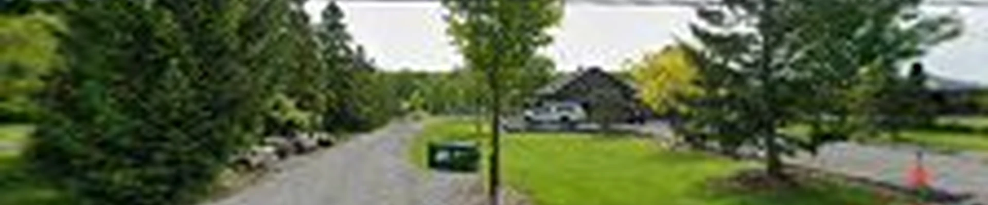 TREEMORE