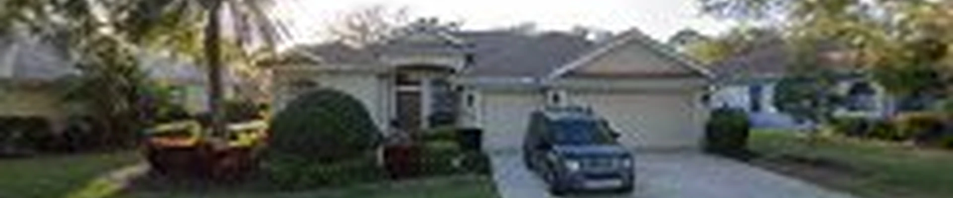 Suncoast Tree Service