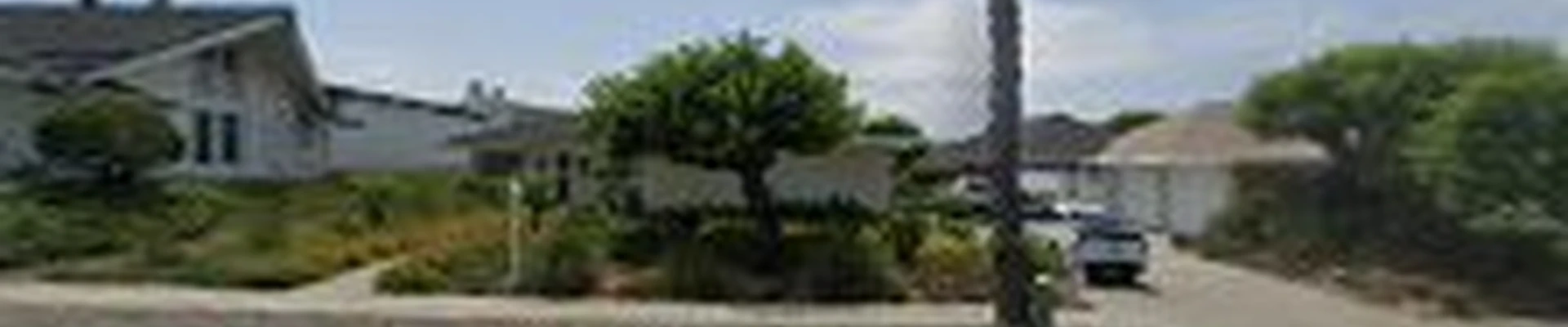 North County Tree