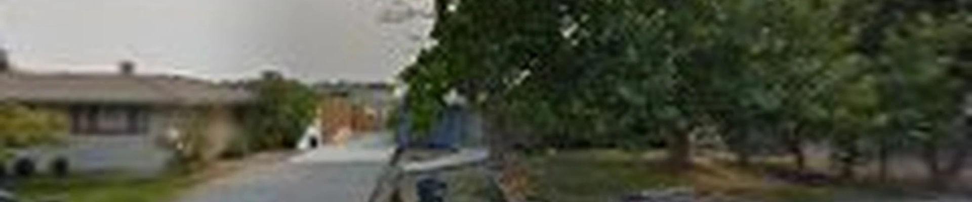 Green Tree Preservation