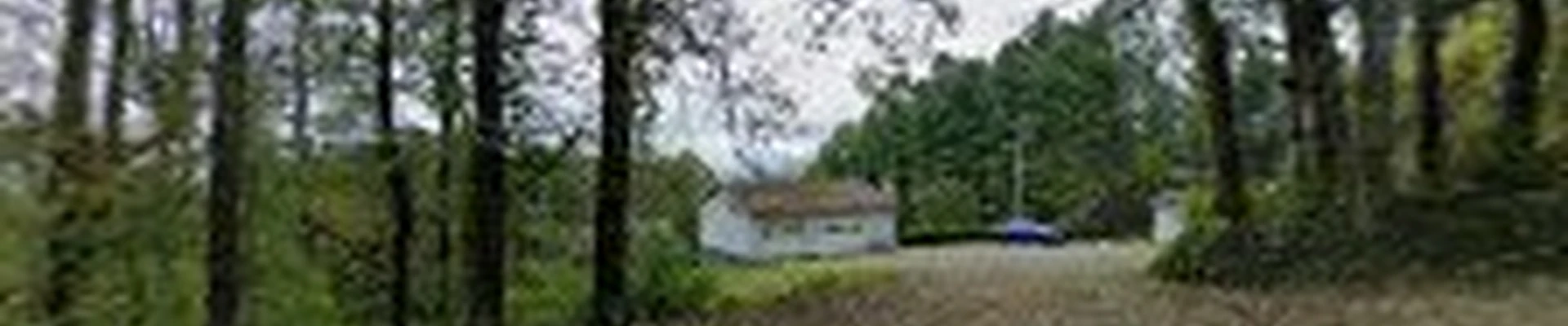Pro Notch Tree Service