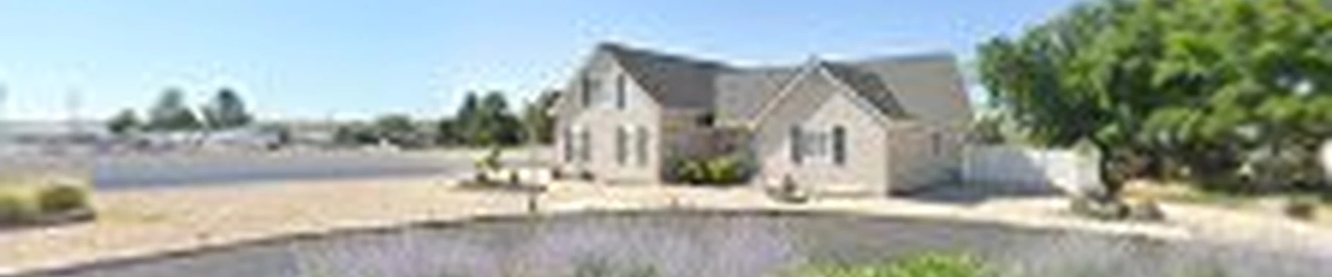 Timberline Tree Service