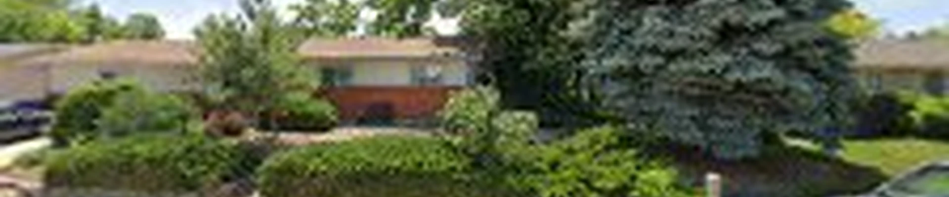 Amp Tree Works LLC