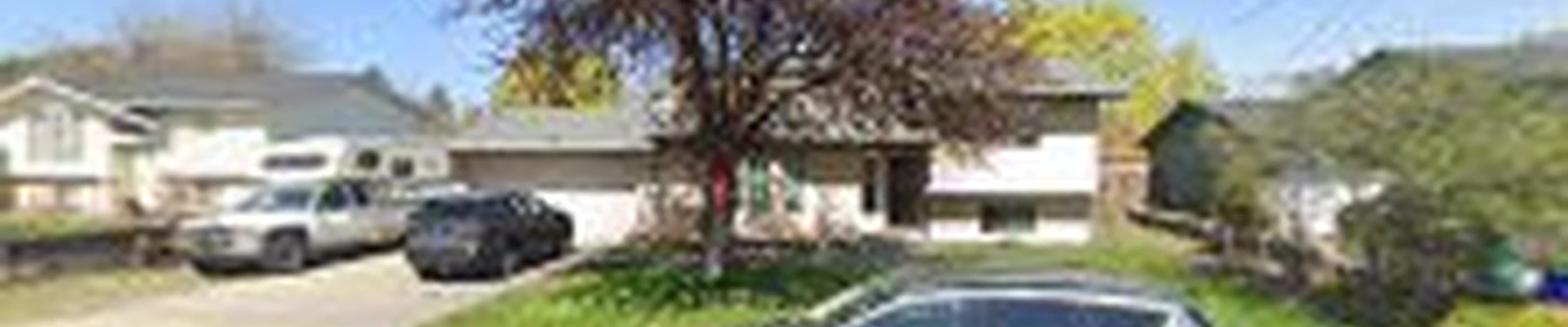 Curtis Point Tree Service