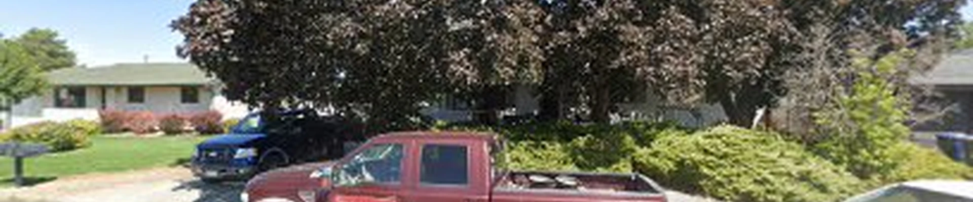 bullpinetreeservicescorp