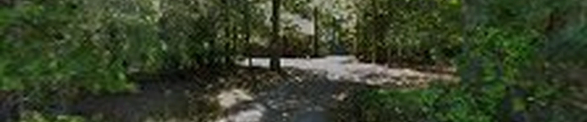 Mark Tuttle Tree Service