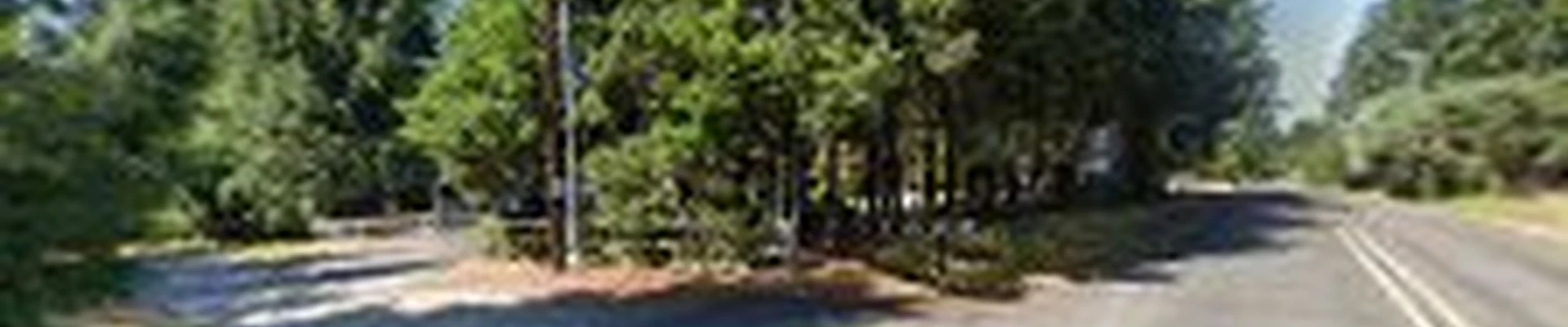 Shook's Tree Service and Removal LLC