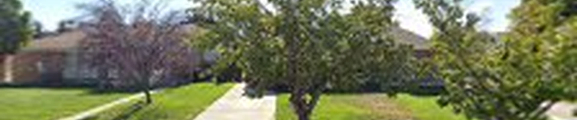 Art Tree Service