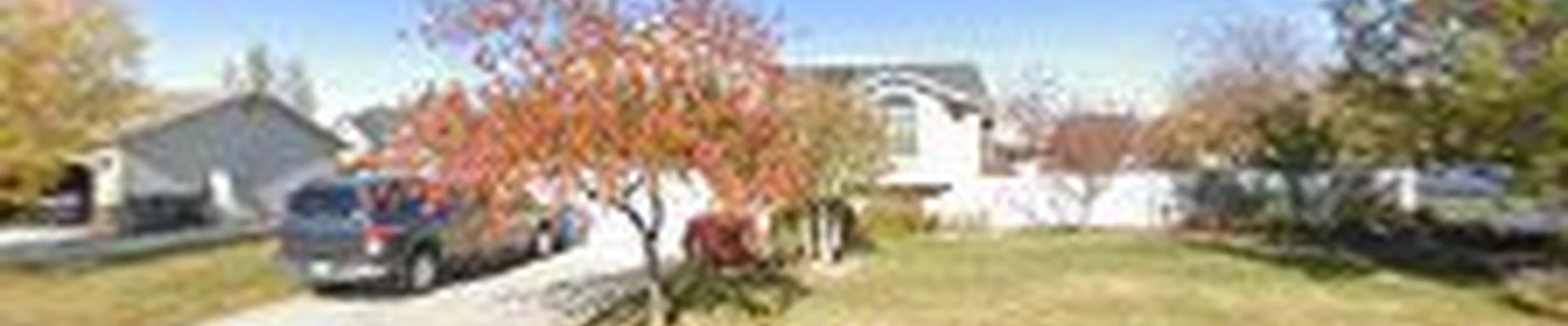 TreeMendus Arbor Care