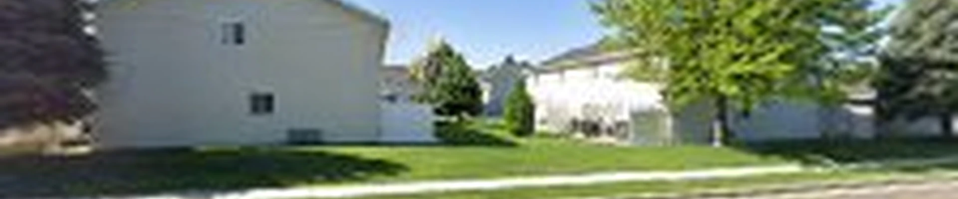 Arbor Pro Tree Service