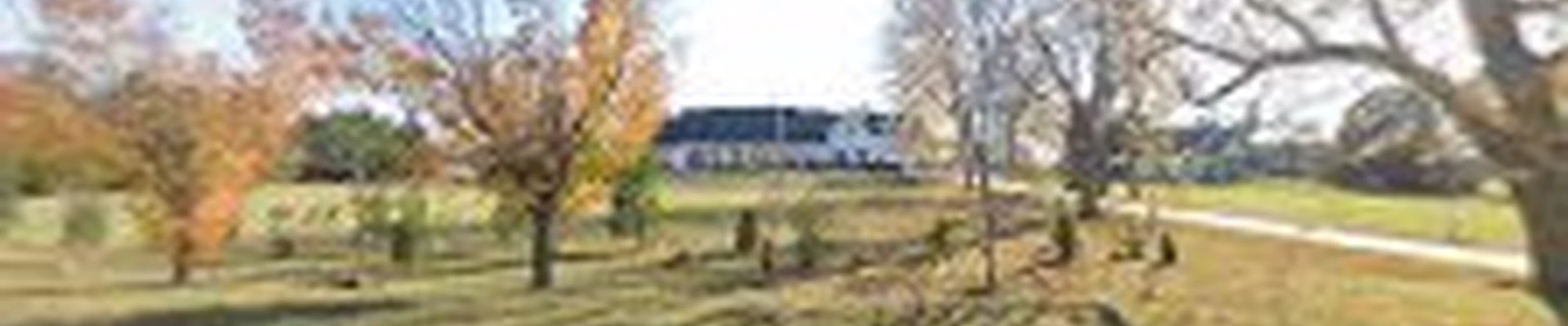 Ankeny Stump Removal & Tree Services
