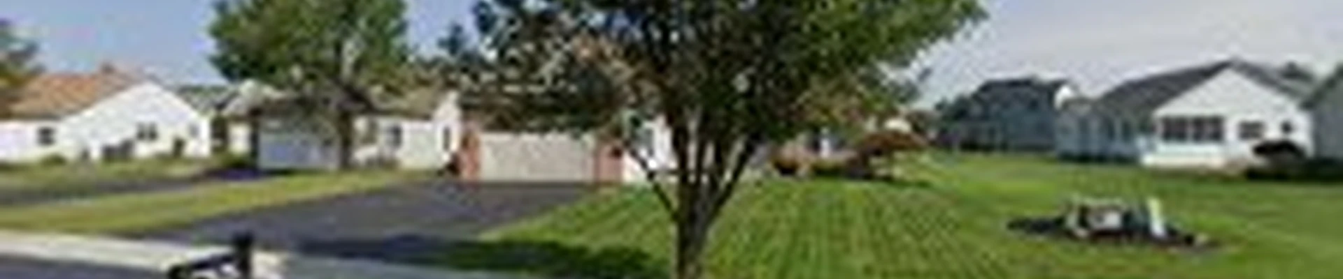Pro Tree Services