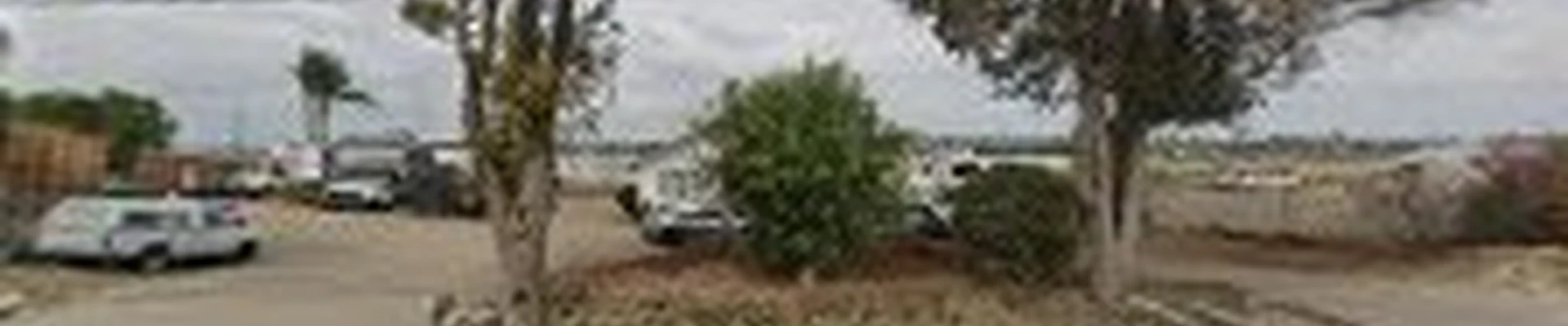 Camarillo Tree Service