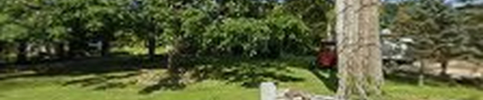 JP Tree Services