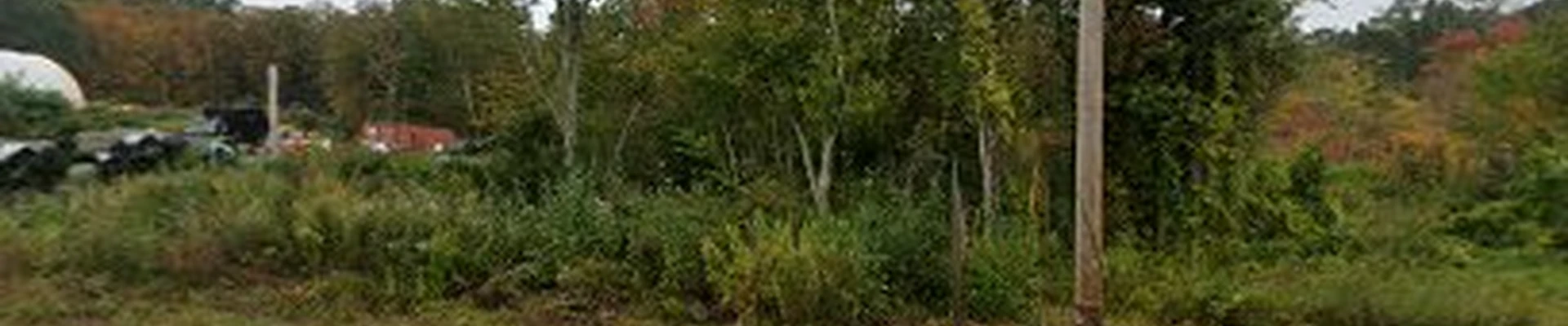 McN Tree Service