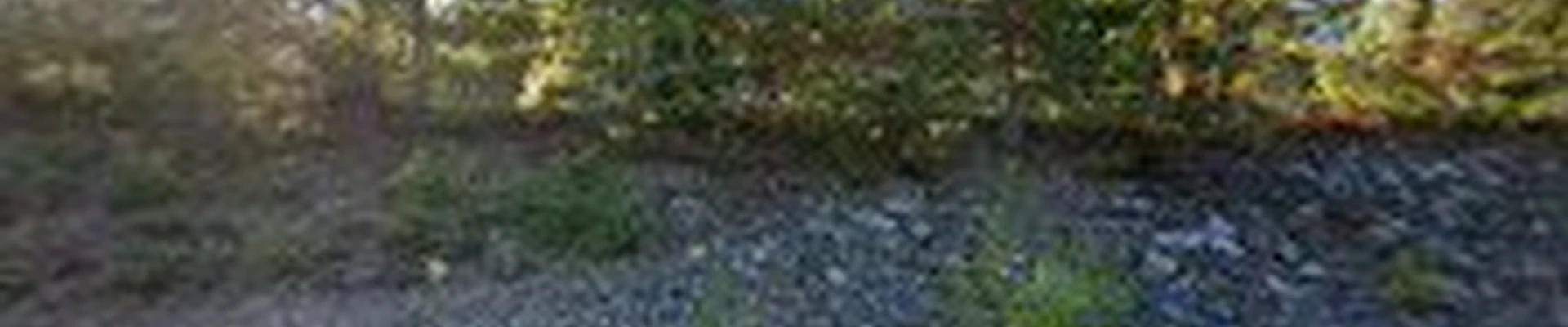 Princeton Tree Services, Inc