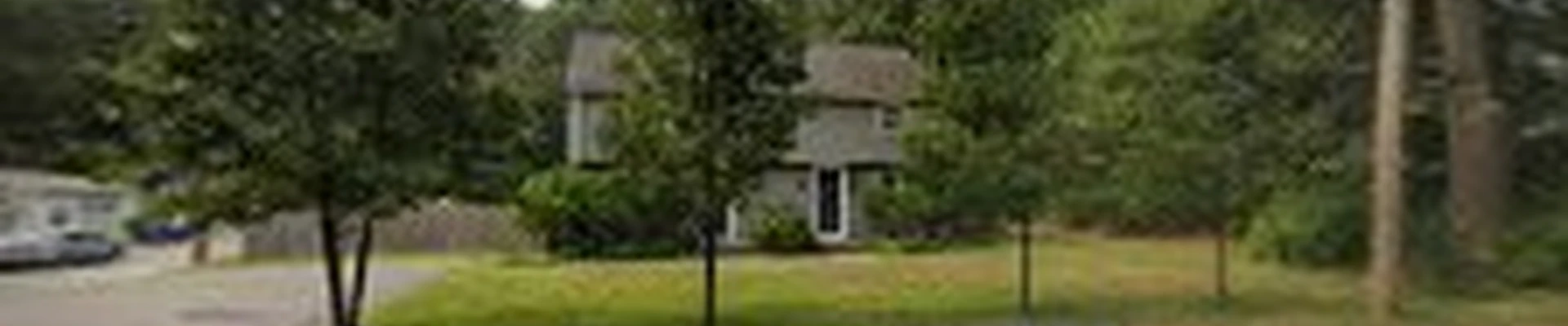 Tico Tree Service