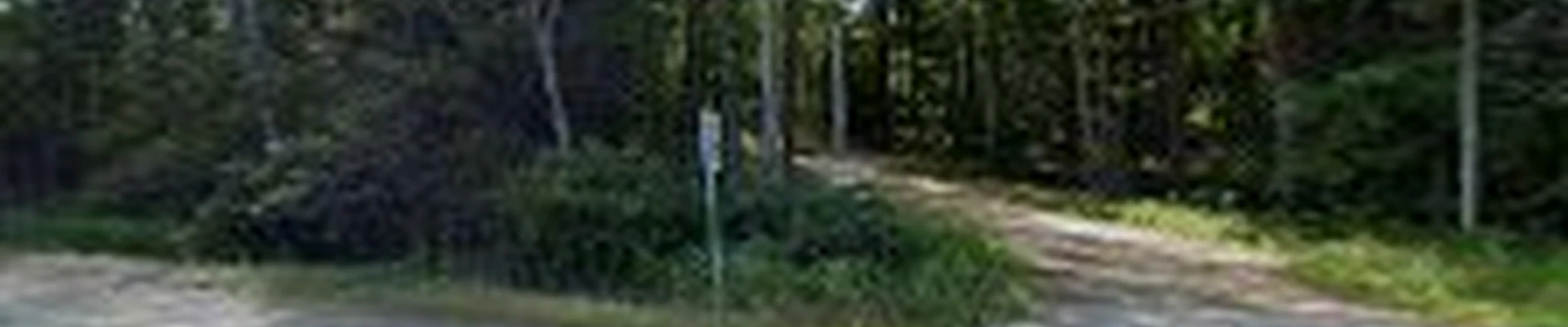 Elevation Tree Service