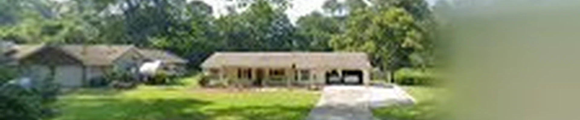 Jason Hamilton Tree Service