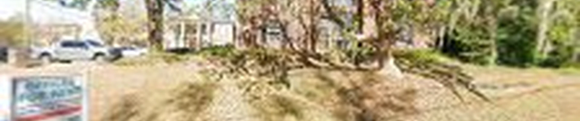 Miller's Tree Service