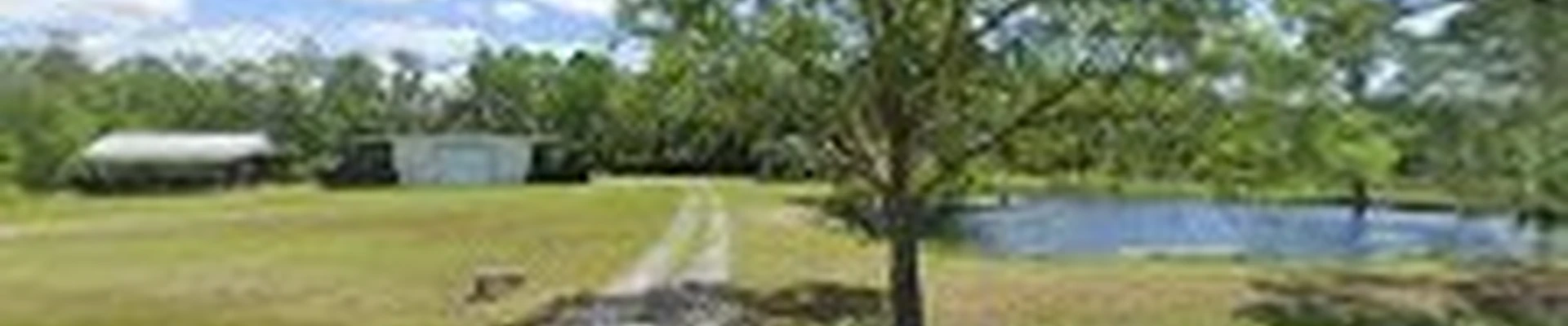 Tall Timber Tree Service & Stump Grinding