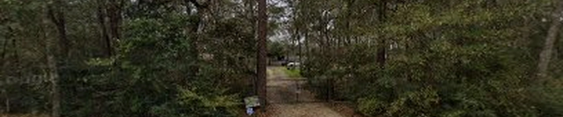 FFlores Tree Services