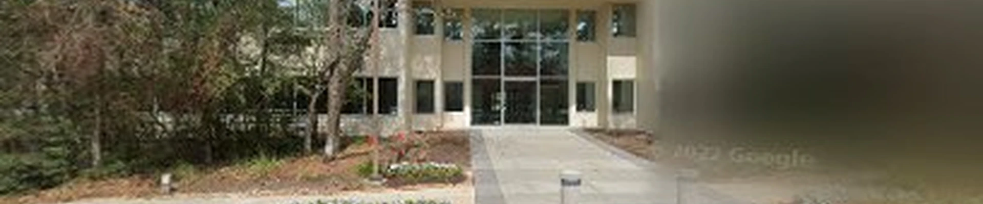 Monster Tree Service The Woodlands